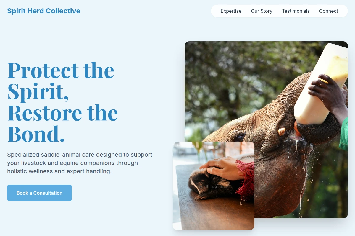 Saddle Animal Care