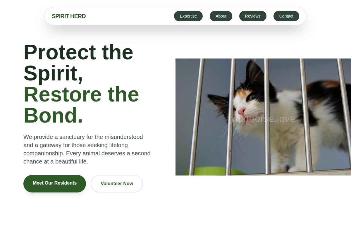 Paddock Animal Shelter