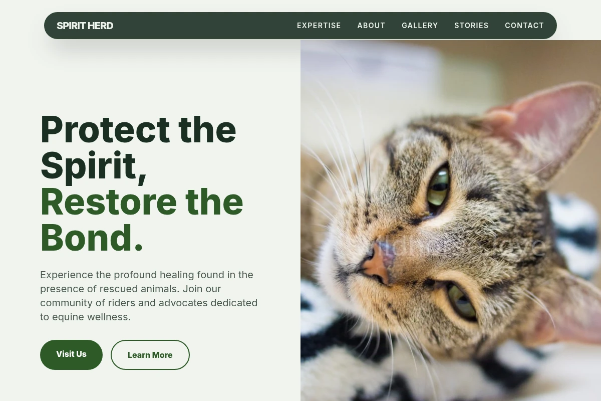 Riding Animal Shelter