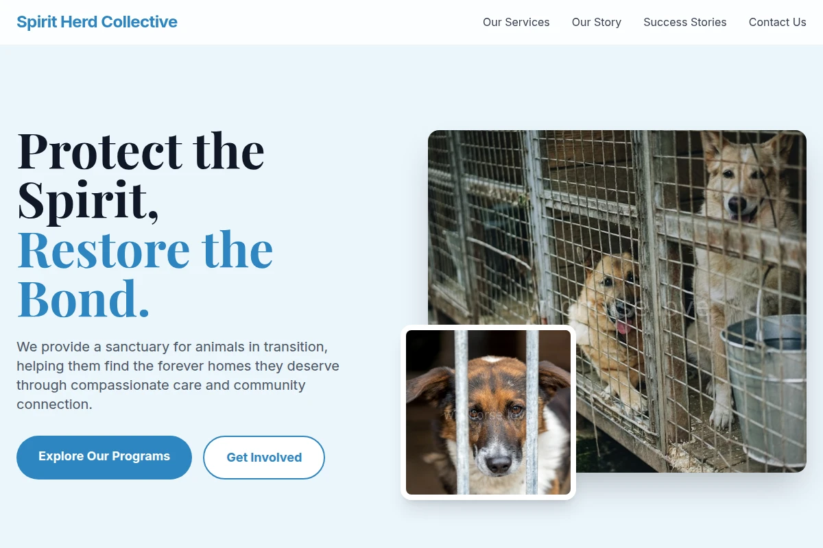 Compassion Animal Shelter