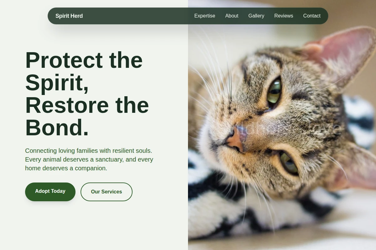 Soul Animal Shelter