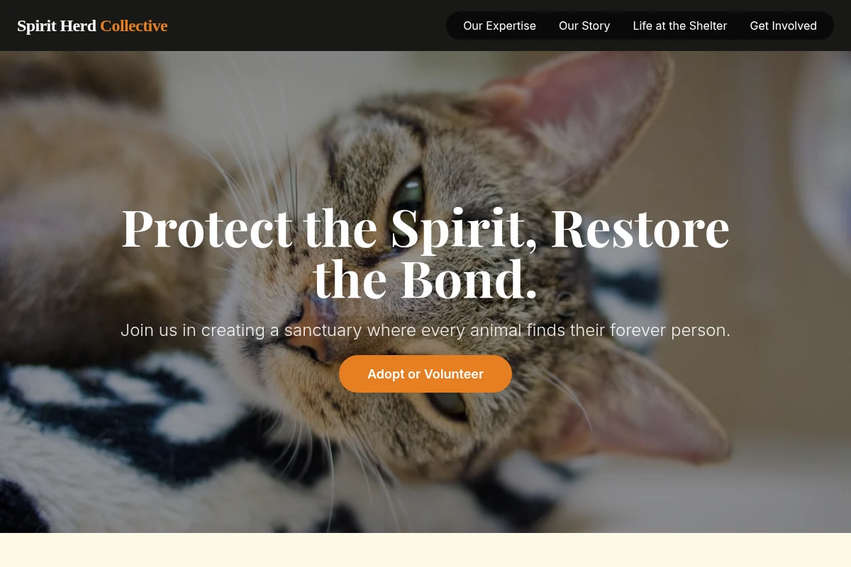 Compassion Animal Shelter