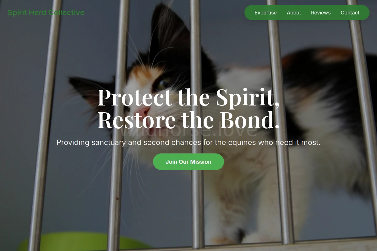 Equestrian Animal Shelter