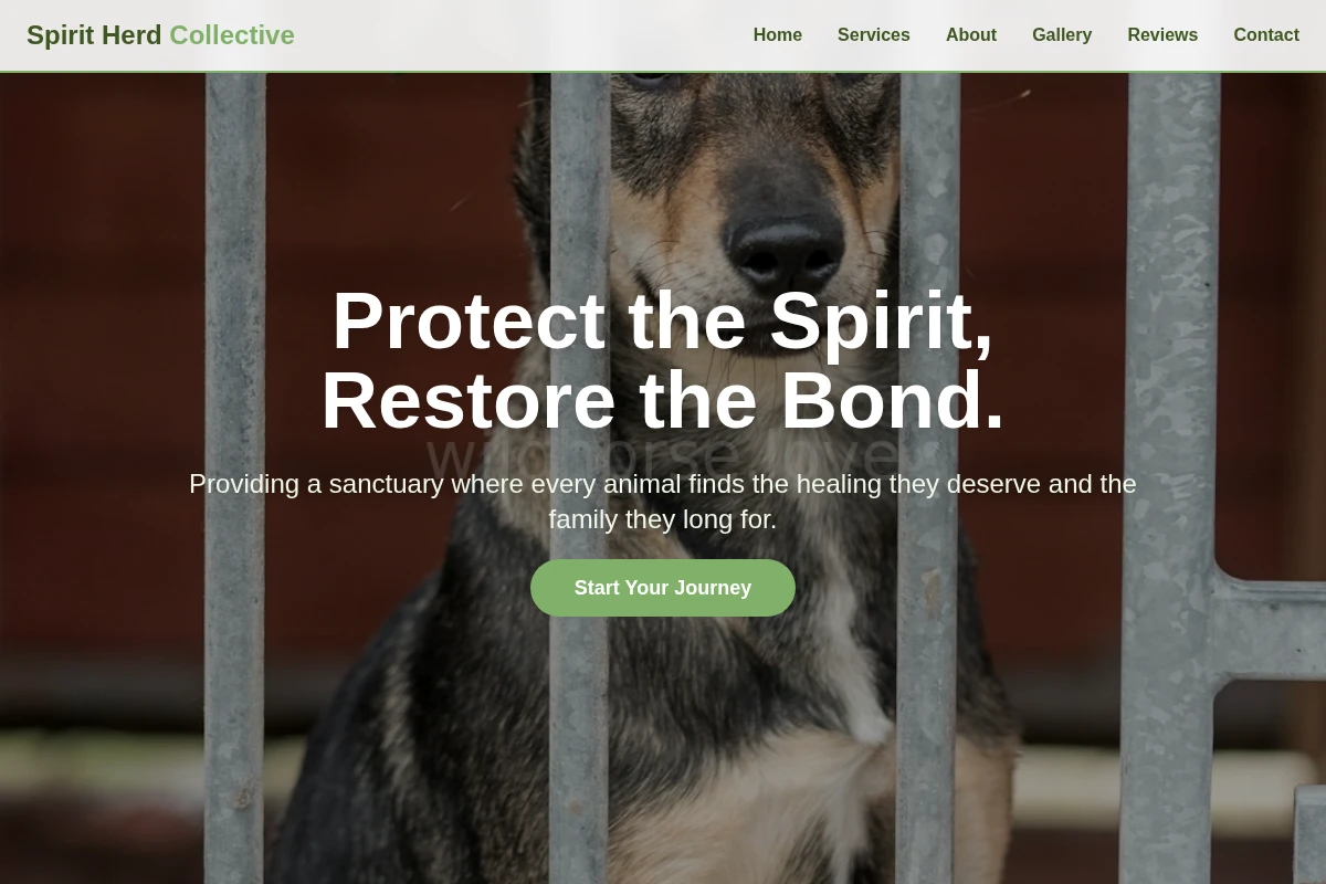 Healing Animal Shelter