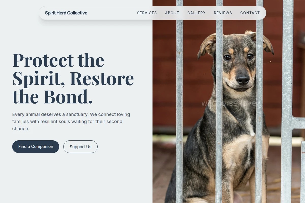 Tail Animal Shelter