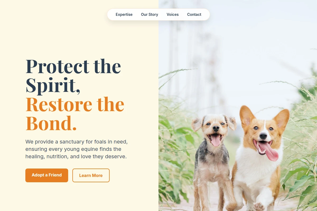 Foal Animal Shelter