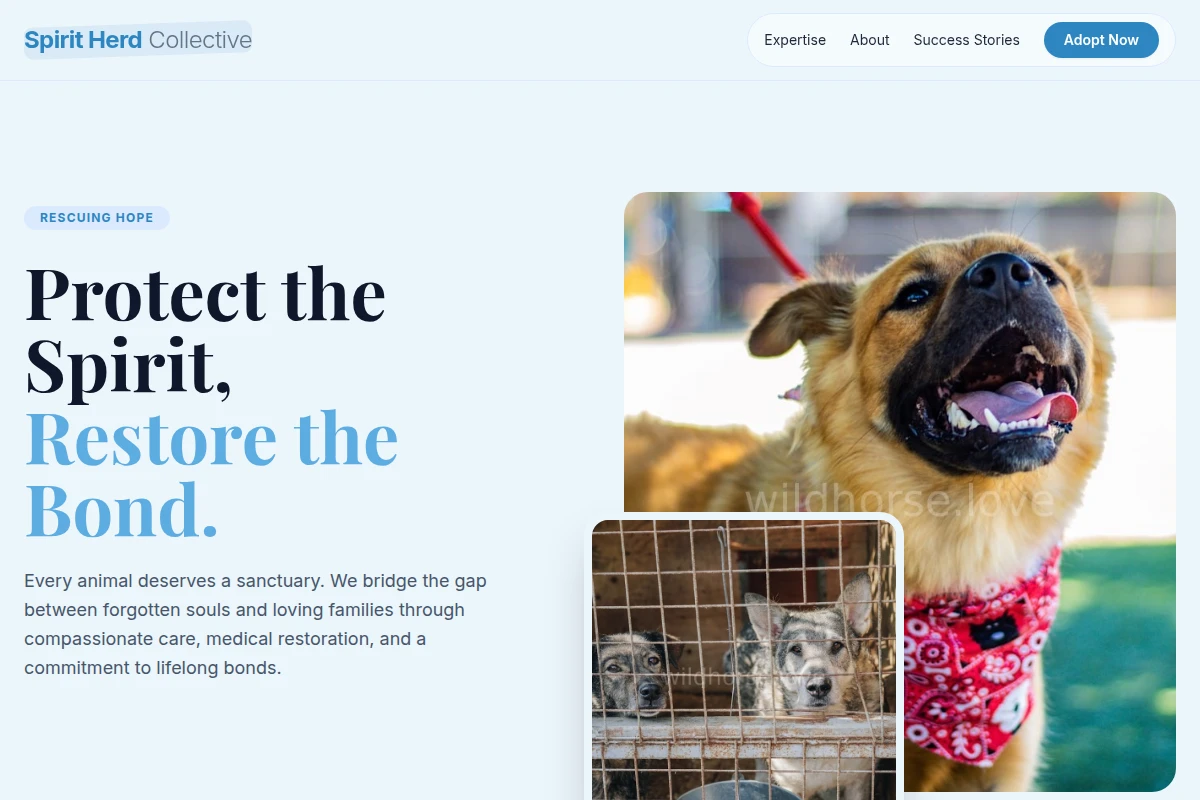 Tail Animal Shelter