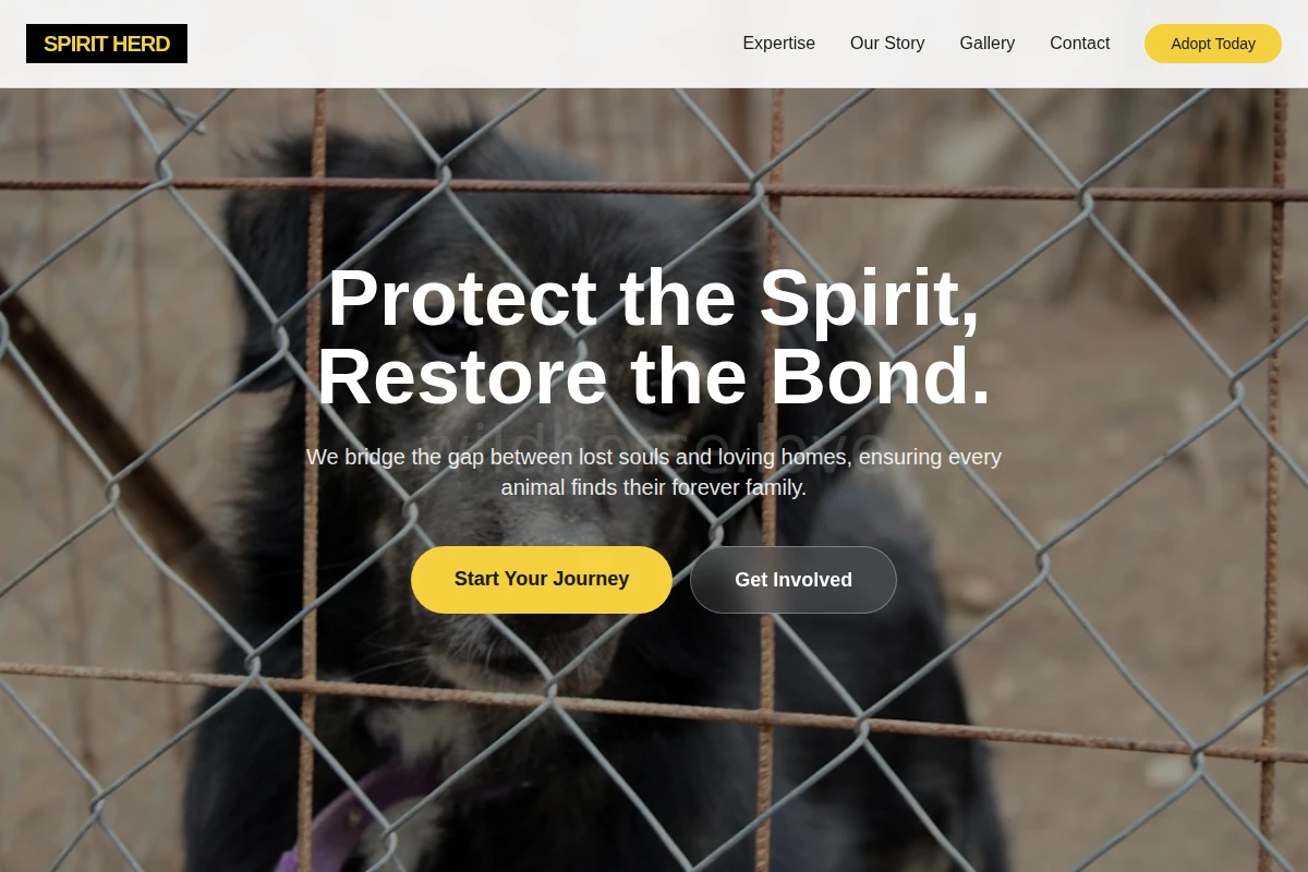 animal-shelter