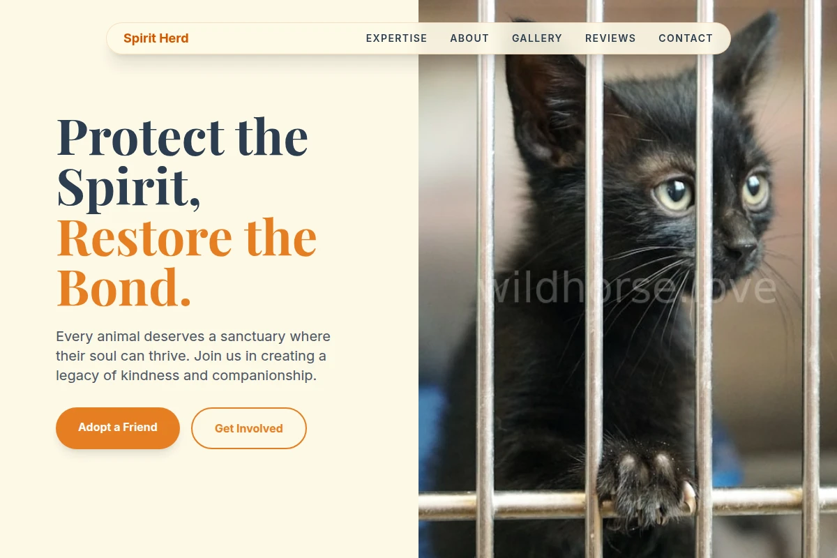 Soul Animal Shelter