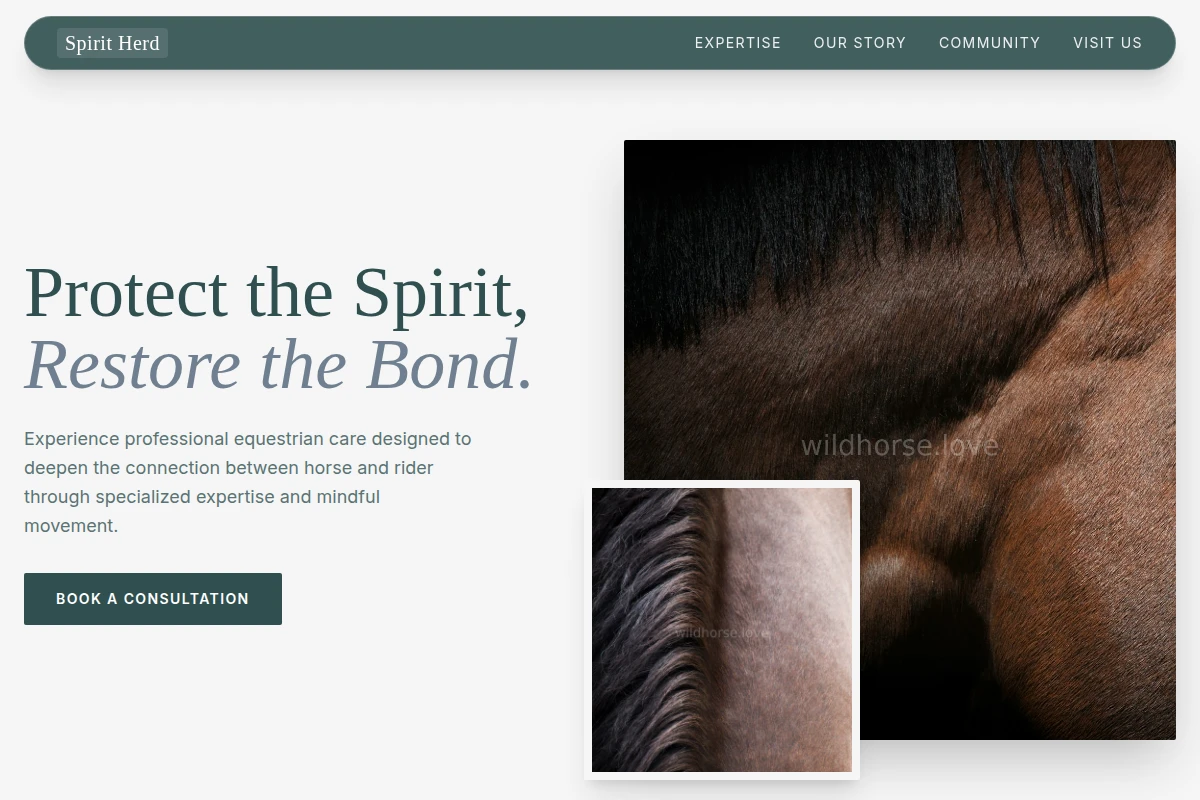 Saddle Equestrian