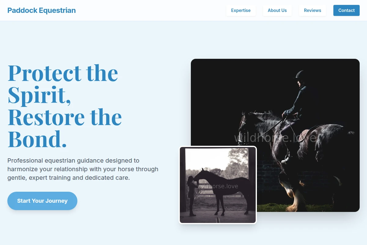 Paddock Equestrian