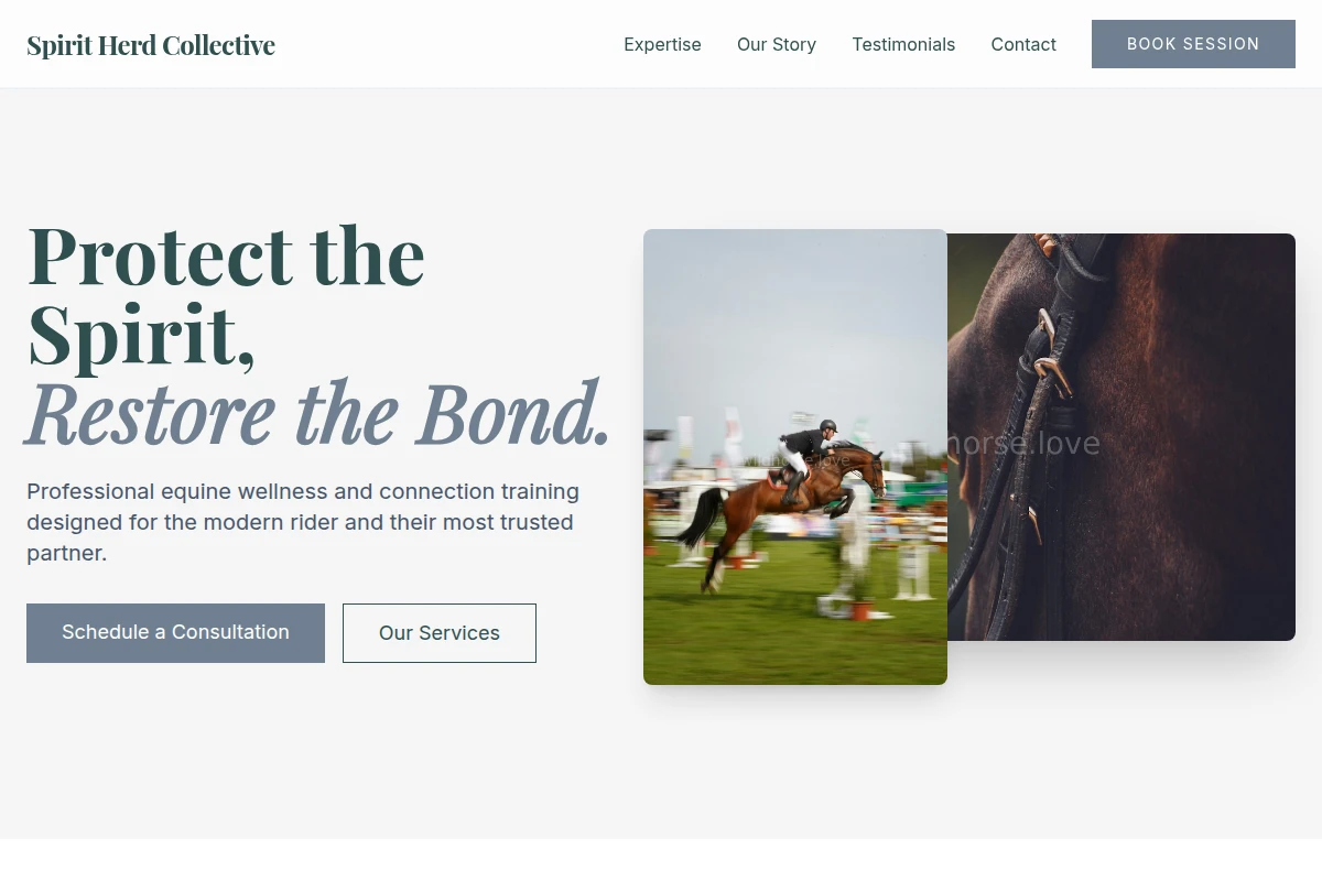Meadow Equestrian