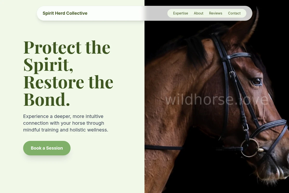 Spirit Equestrian
