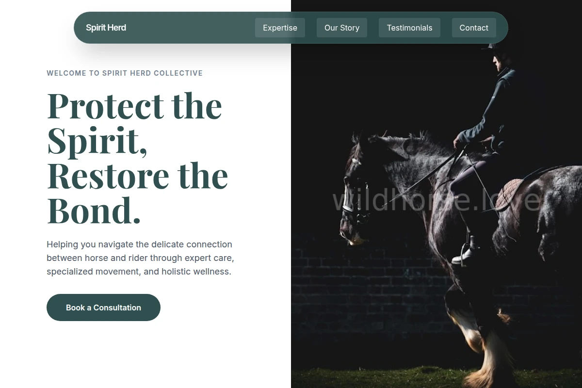 Mare Equestrian