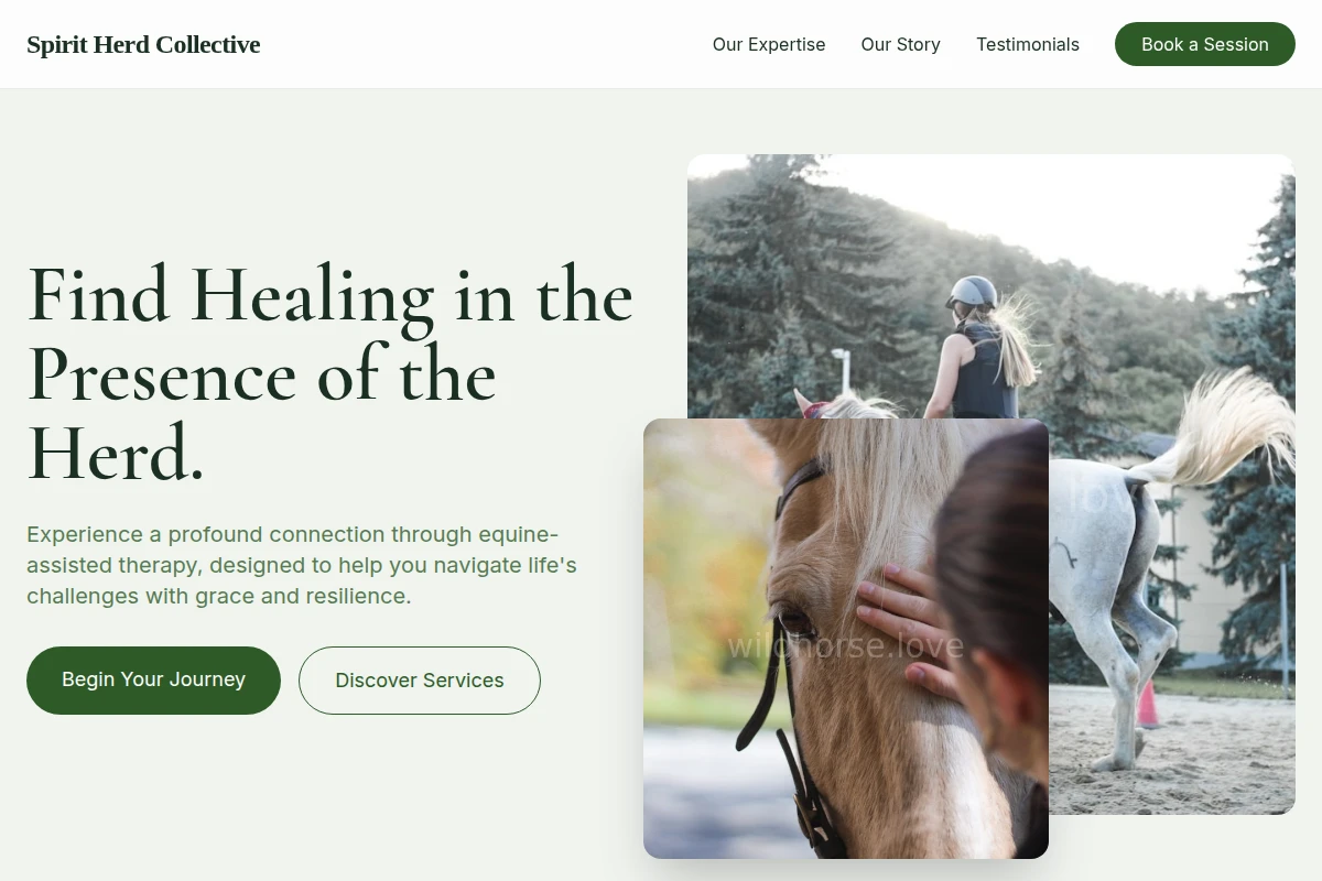 Compassion Equine Therapy