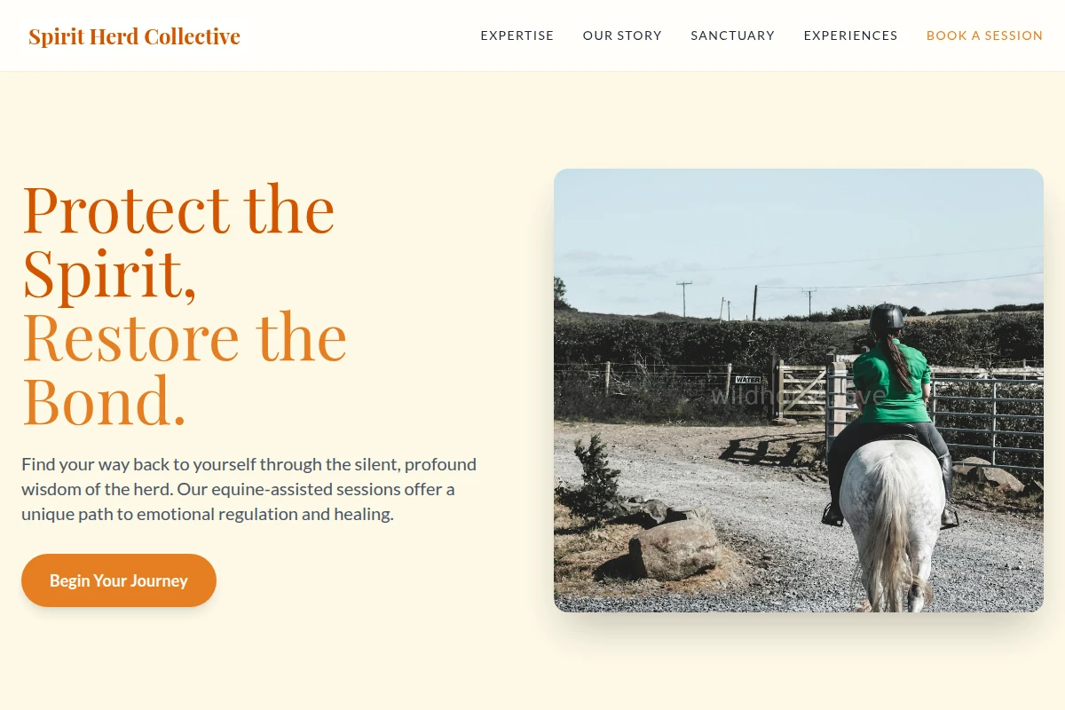 Healing Equine Therapy