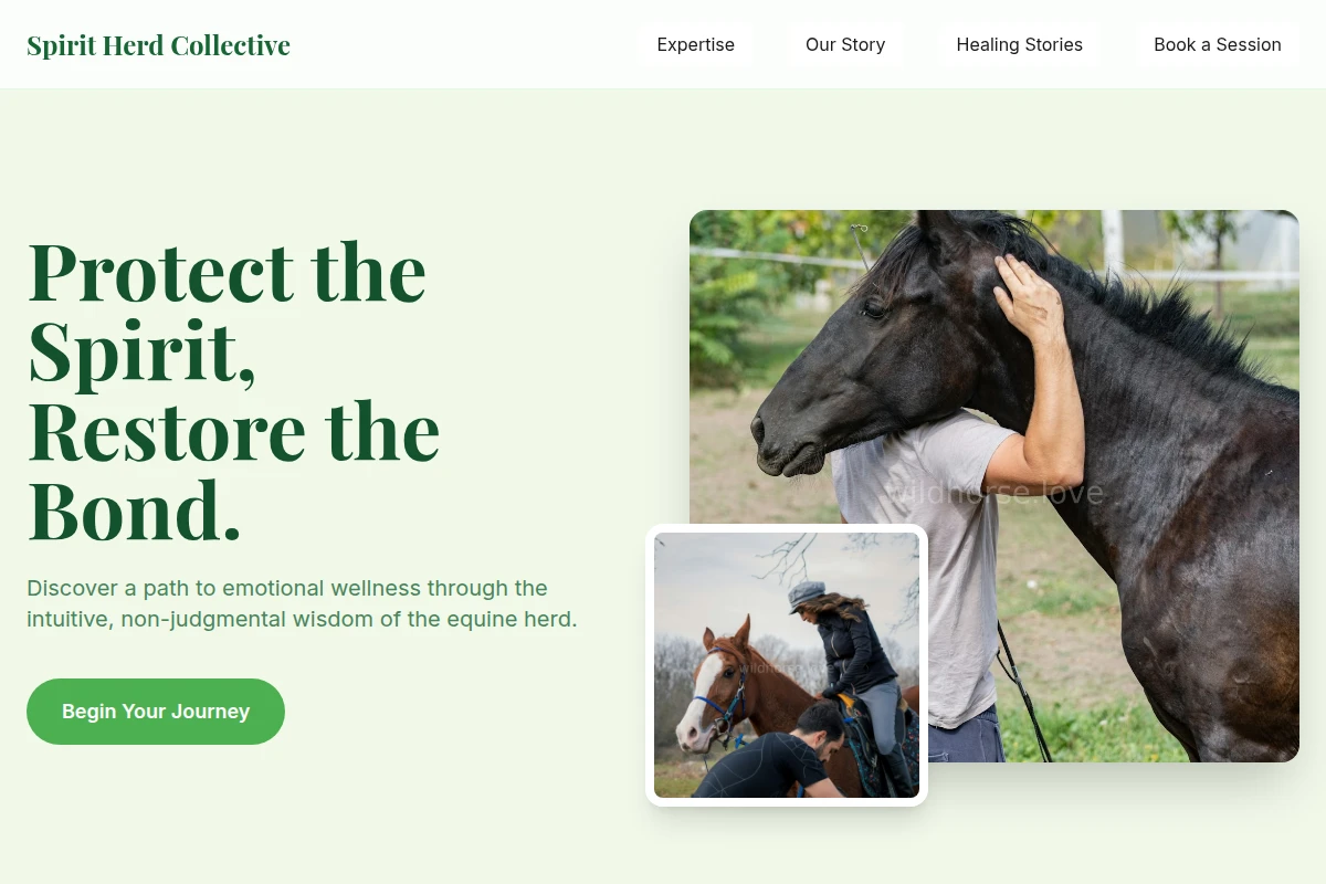 Soul Equine Therapy
