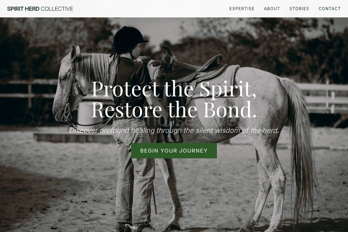 Canter Equine Therapy