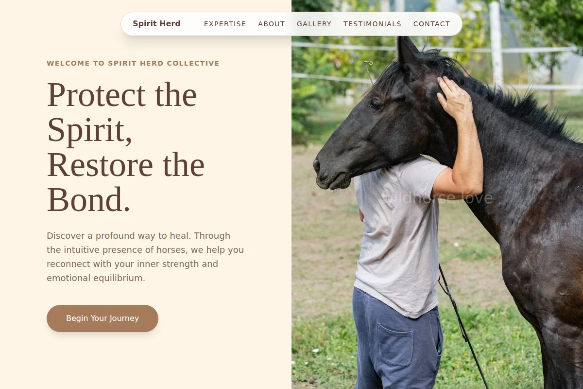 Therapy Equine Therapy
