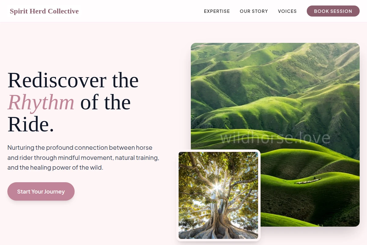 Saddle Nature