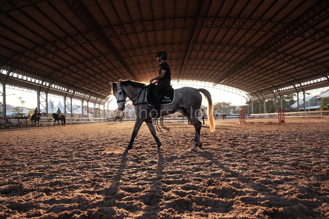 Equestrian landscape