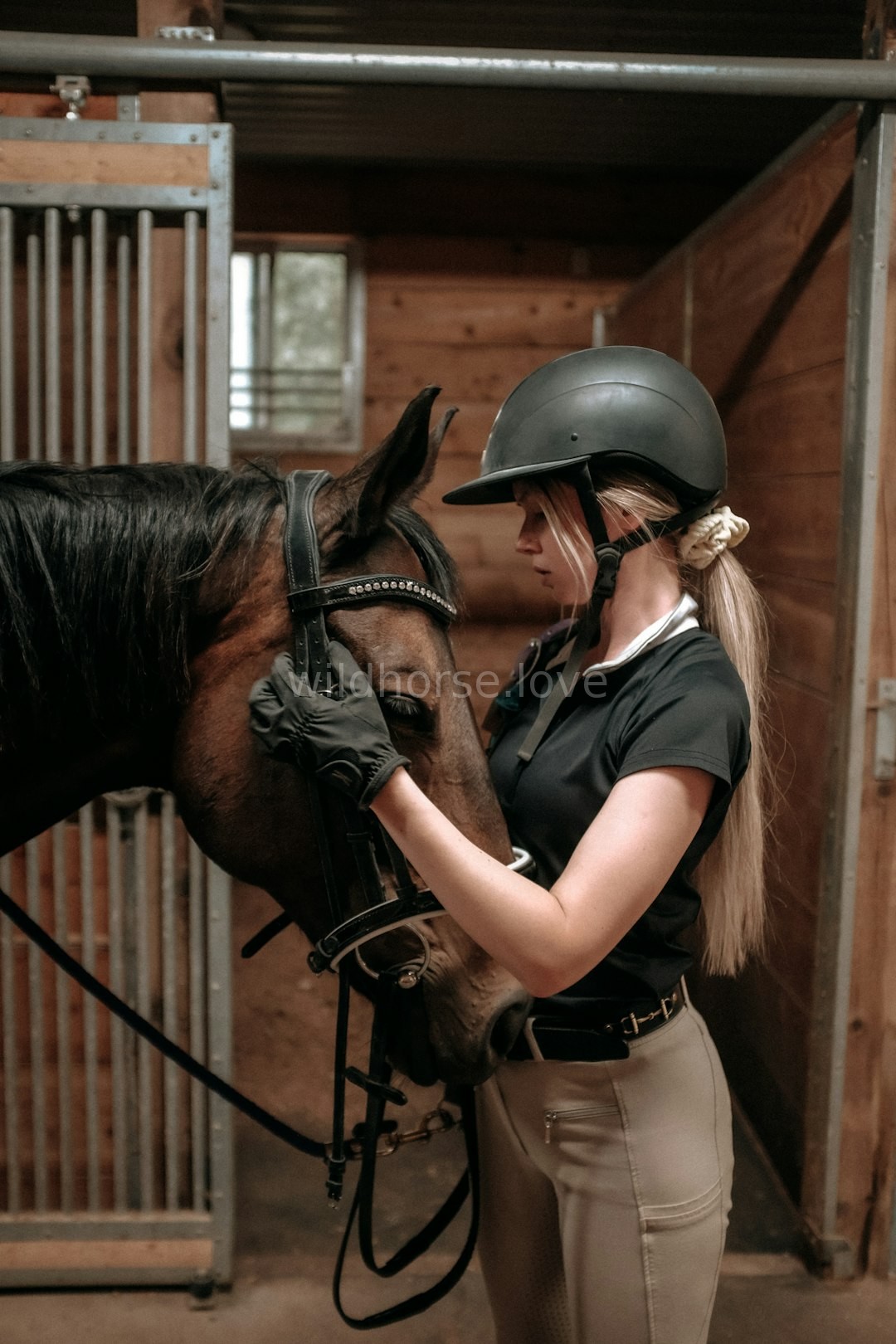 Equine Wellness